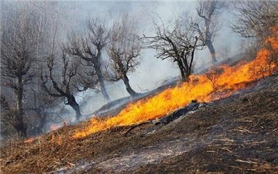 عوامل آتش‌سوزی گسترده در منابع ملی چگنی و ازنا شناسایی شدند