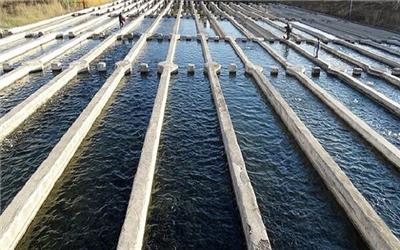 افتتاح 2 مزرعه پرورش ماهی در لرستان طی هفته دولت