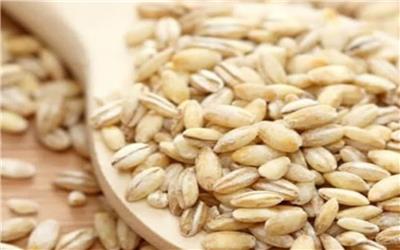 رشد 200 درصدی خرید گندم توسط مراکز تعاون روستایی در لرستان