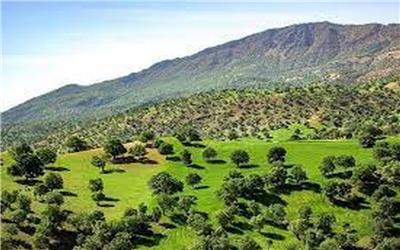 ایجاد پاسگاه حفاظتی در چهار منطقه جنگلی لرستان