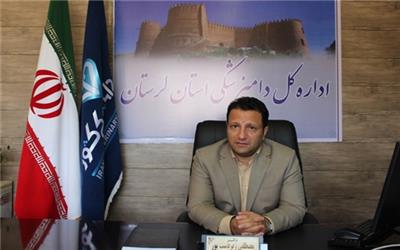 21 ماه حبس برای قصاب عرضه‌کننده گوشت غیربهداشتی در خرم‌آباد