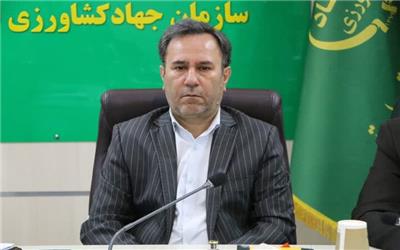 کاشت 500 هکتار از مزارع نخود دلفان به‌صورت مکانیزه