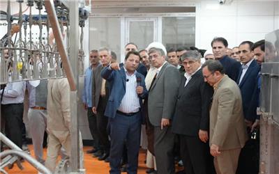 پیشرفته‌ترین کشتارگاه غرب کشور افتتاح شد