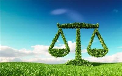 حکم جالب یک قاضی برای متخلف زیست محیطی / پاکسازی پسماند‌های تالاب‌های ولیعصر به جای حبس