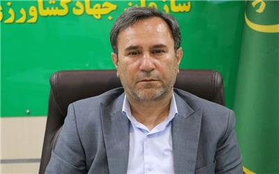 پایان عملیات کنترل بیولوژیک آفات در 4005 هکتار از اراضی لرستان