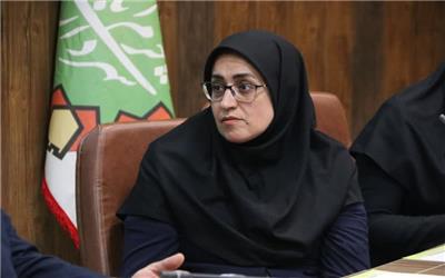 لرستان در مسیر تبدیل به قطب گردشگری سلامت کشور