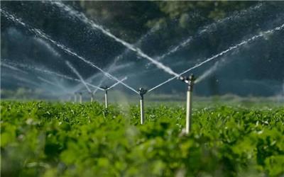 احیای دو هزار و 300 هکتار زمین کشاورزی با تعیین تکلیف 83 پروژه معطل‌مانده آبیاری در لرستان