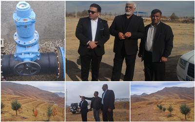 گیاهان دارویی می توانند نقش پر رنگی در حفظ و ارتقاء سلامت ایفا کنند