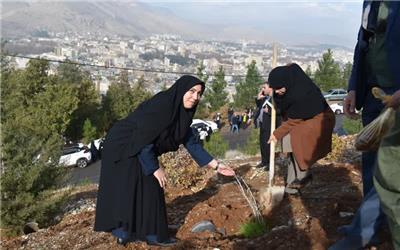 کاشت 5 هزار نهال بومی در پویش نهالکاری به مناسبت میلاد حضرت فاطمه زهرا(س)