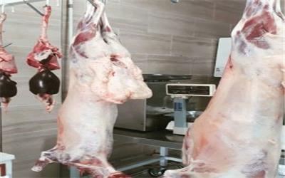 معدوم‌سازی 600 کیلوگرم گوشت قرمز بدون تاریخ در بروجرد