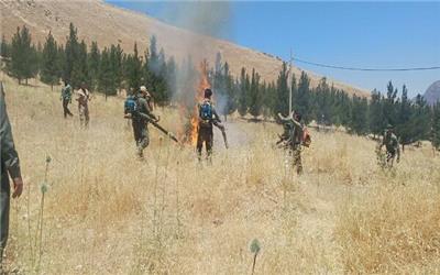 مانور اطفای حریق در جنگل‌ها و مراتع لرستان برگزار شد
