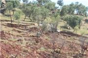 برنامه ریزی برای جلوگیری از زمین لغزش در سطح اراضی جنگلی و مرتعی استان