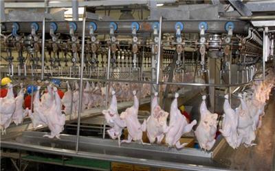 قیمت مرغ گرم 20 هزار و 400 تومان در لرستان تعیین شد