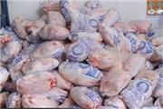 کشف و ضبط 10 تن مرغ قاچاق در الیگودرز