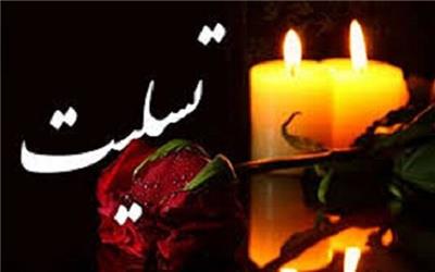 پیام تسلیت مدیرکل ارشاد لرستان به مناسبت درگذشت مادر شهید محمود صارمی