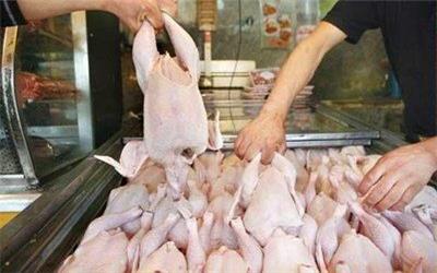 قیمت مرغ برای مصرف کننده 24 هزار و 900 تومان تعیین شده است/ سالانه ٨٠ هزار تن مرغ در لرستان تولید می شود