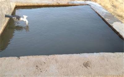 آبشخورهای منطقه حفاظت شده "سفیدکوه" خرم آباد ضدعفونی شد