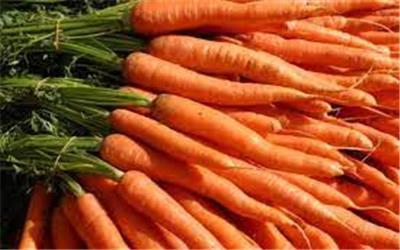 تولید 100 هزار تن هویج در لرستان