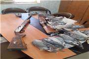 دستگیری شکارچیان غیر مجاز 16 کبوتر چاهی در ازنا