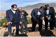 اجرای سه مرحله پویش همگانی کاشت بذر و نهال در تمام شهرستان های لرستان