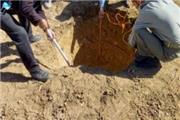نجات دو قلاده رودک در چاه سه متری در شهرستان ازنا