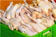 روزانه50 تن مرغ مازاد بر مصرف درلرستان ذخیره می شود