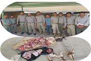 دستگیری متخلفین شکار غیر مجاز بز وحشی در خرم آباد