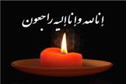 مدیرکل فرهنگ و ارشاد اسلامی درگذشت طنزپرداز لرستانی را تسلیت گفت