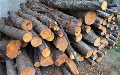 27 تن چوب قاچاق در بروجرد کشف و ضبط شد