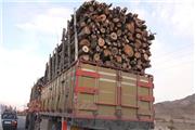 10 تن چوب قاچاق در لرستان کشف شد