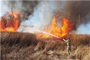 مهار آتش سوزی در مزارع و باغات کوهدشت و مصدومیت 2 آتش‌نشان