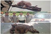 شکارچی بی‌رحم در منطقه شکار و صید ممنوع گرین توسط محیط‌بانان دستگیر شد