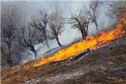 عوامل آتش‌سوزی گسترده در منابع ملی چگنی و ازنا شناسایی شدند