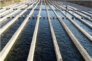 افتتاح 2 مزرعه پرورش ماهی در لرستان طی هفته دولت