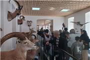 استقبال بیش از 15 هزار نفر گردشگرنوروزی از موزه تاریخ طبیعی و تنوع زیستی لرستان