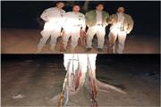 دستگیری شبانه‌ شکارچیان قبل از هر گونه تخلف در منطقه شکار ممنوع هشتاد پهلو